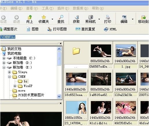 acdsee�Gɫ�����d���b�f��