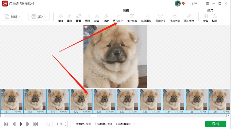 �W�GIF����ܛ���W�GIF����ܛ���̌W(xu��)