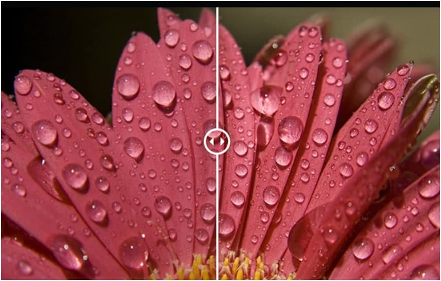 Topaz Studio�������c(di��n)��B