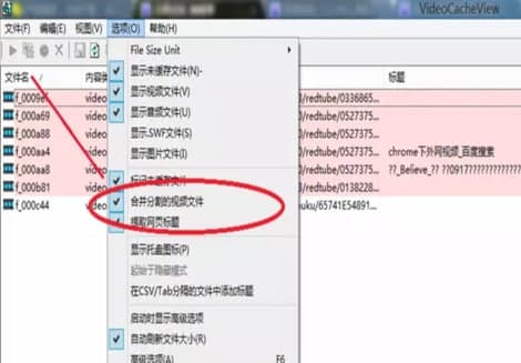 Videocacheview���b�̳̽�B