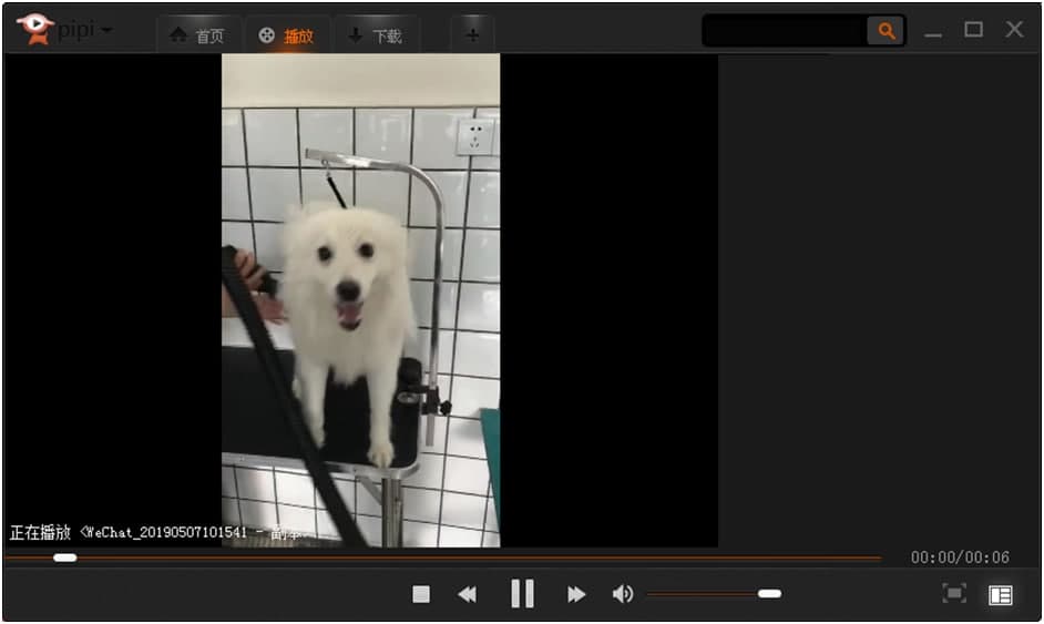 ƤƤ��PIPI��������ʹ�÷���