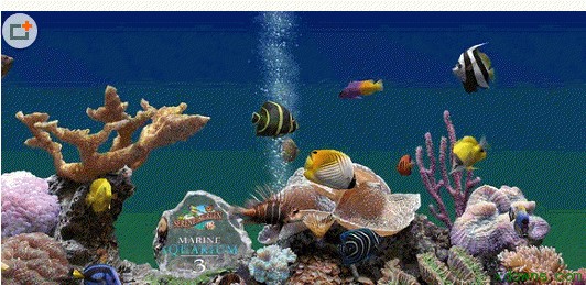 �ӑB�~��Ļ���o���򺆽��Լ���Ҋ���}���