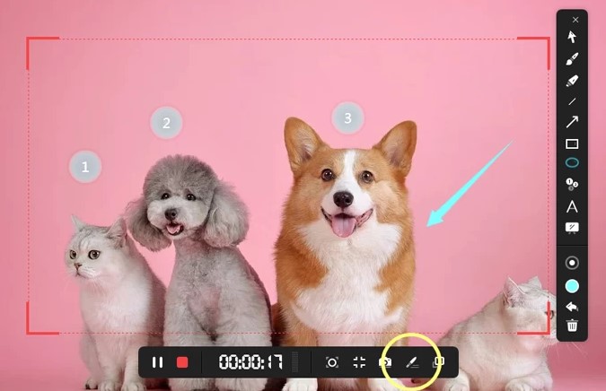 ApowerREC��Ļ�������ʹ�ý̳�