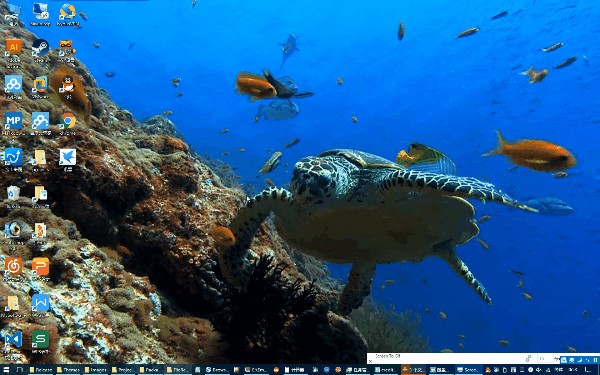 ���~�������M�����d��Ԕ�����b�̳�