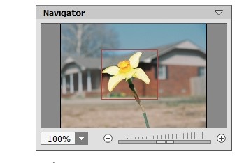 AKVIS Noise Buster���d�������D�Ľ�B