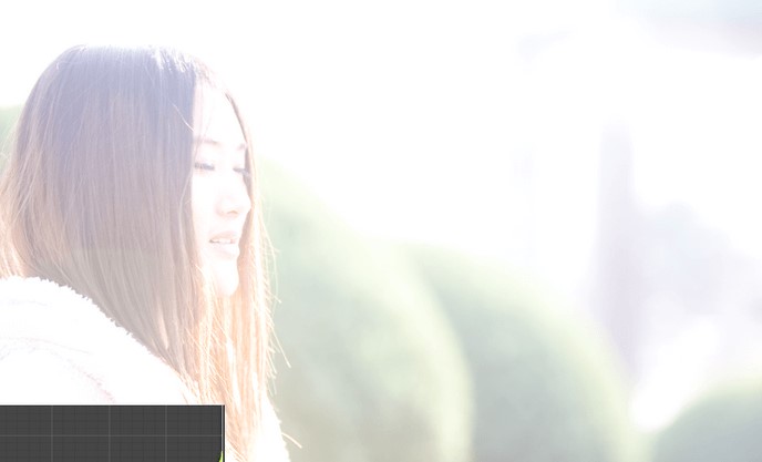 Alien Skin Exposure��Ƭ�ع��ޏͽ̌W