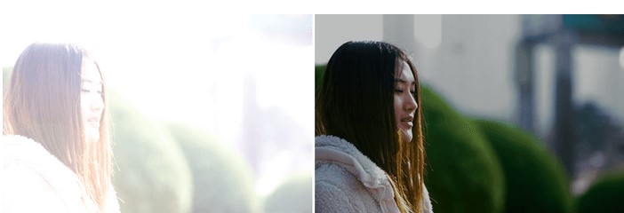 Alien Skin Exposure��Ƭ�ع��ޏͽ̌W