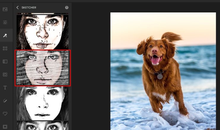 Image Cartoonizer Premium��Ƭ�D����̌W