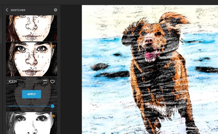 Image Cartoonizer Premium��Ƭ�D����̌W