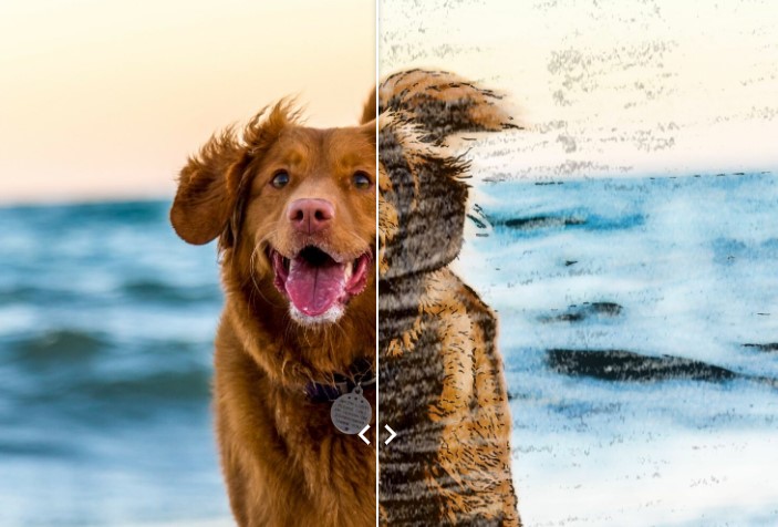 Image Cartoonizer Premium��Ƭ�D����̌W