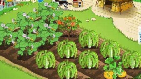  QQ�r(n��ng)�����Ļ�����B�cͬ���ܛ����B�f��