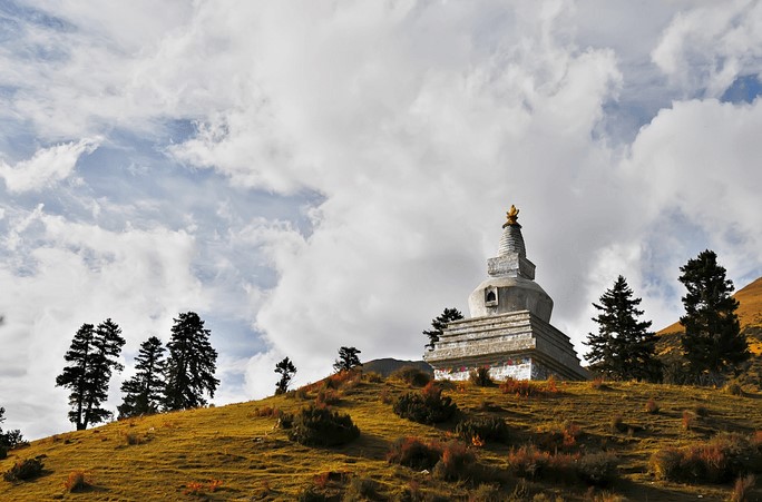 Alien Skin Exposure�{ɫ����{���̌W