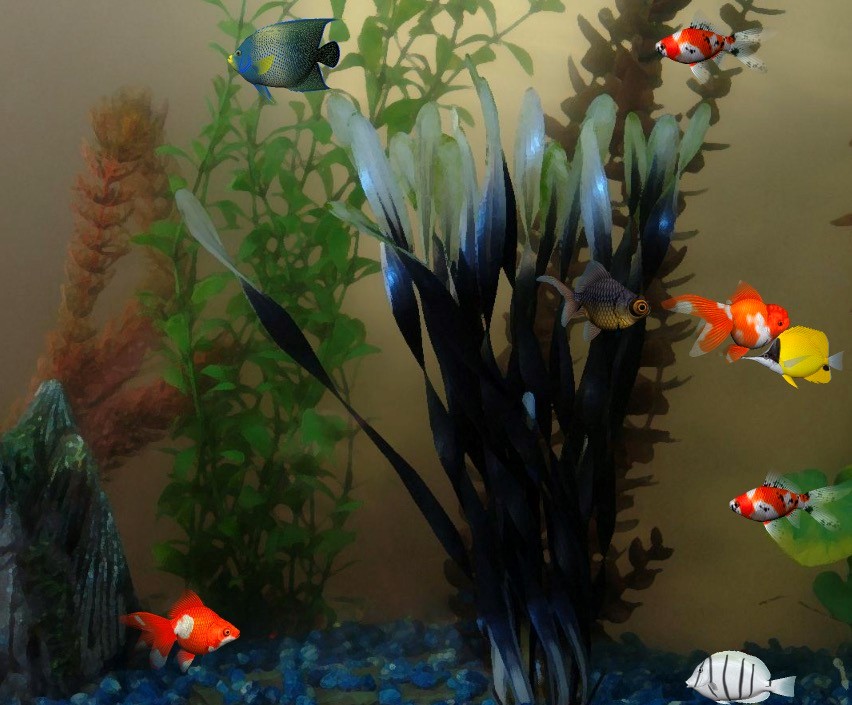 ���~������X������������ʹ�ü��ɽ�B