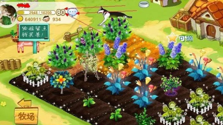 ʹ��QQ�r��ˢ������ֿ���������һЩС����