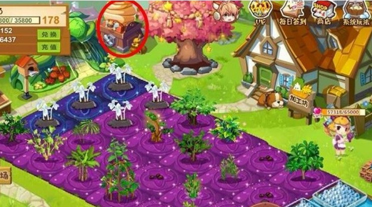 ʹ���ո�С�����QQ�r������ʲô���ã�