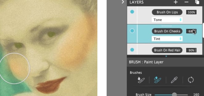 Hand Tint Pro�͹���Ƭ�����̌W