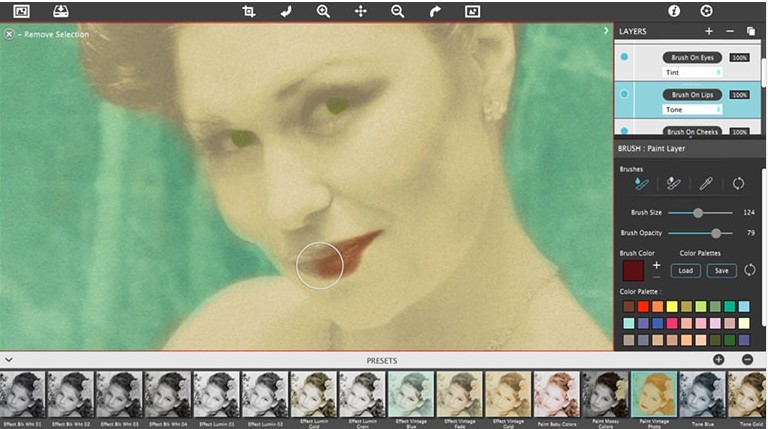 Hand Tint Pro�͹���Ƭ�����̌W