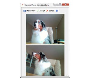 Caricature Photo To Cartoon��ͨ�����̌W