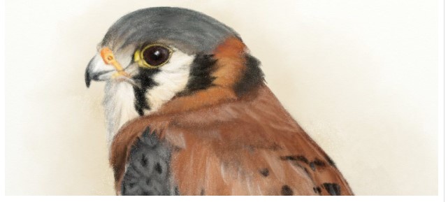 Artrage�ٷ����d�U�P���߹������c��B