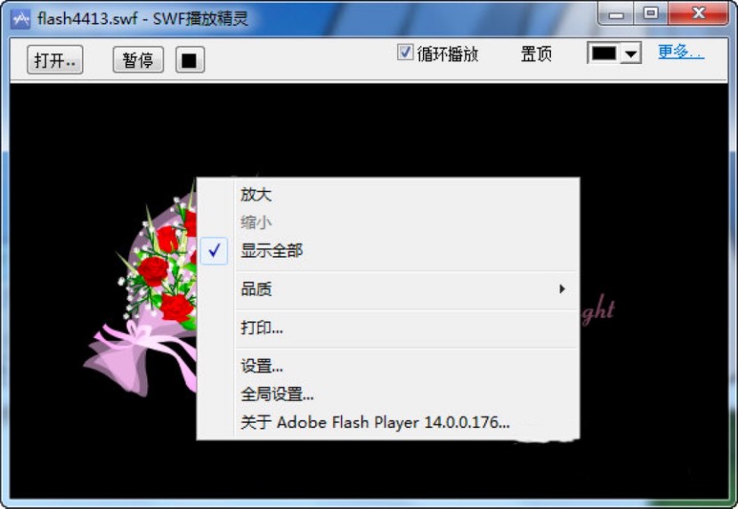 SWF���ž��`ʹ��