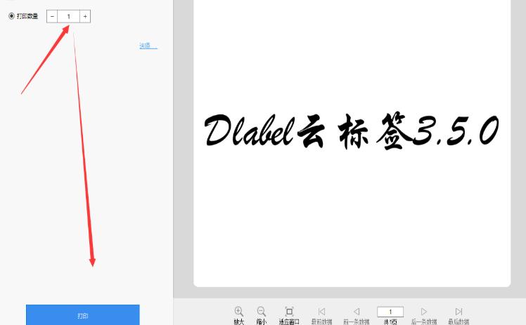 DLabel��ο��ٴ�ӡ