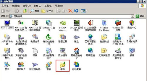 �D���������w��