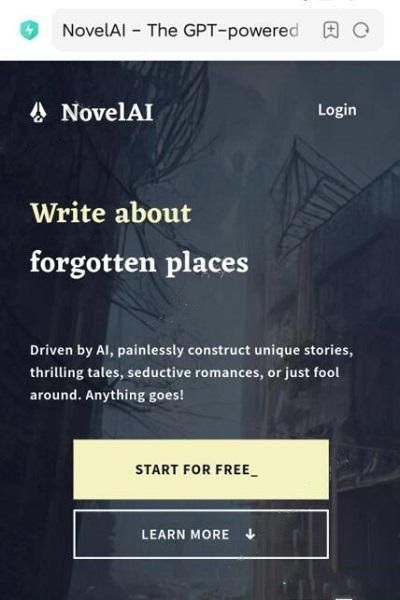 novelai�D�����ɵă�(n��i)���y(c��)ԇ��ַ��ʲô novelai��(n��i)�y(c��)��ַ����[���D]�DƬ4