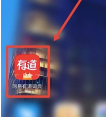 �D���е��~��