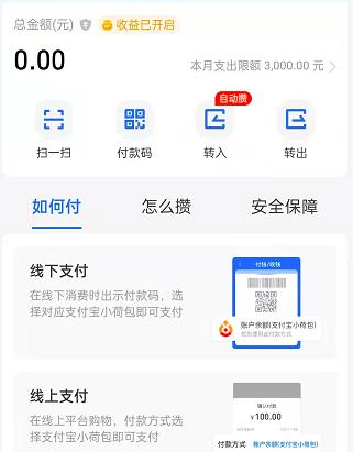 ֧����С�ɰ���ô�_������