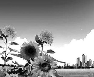 �D��2345���D��