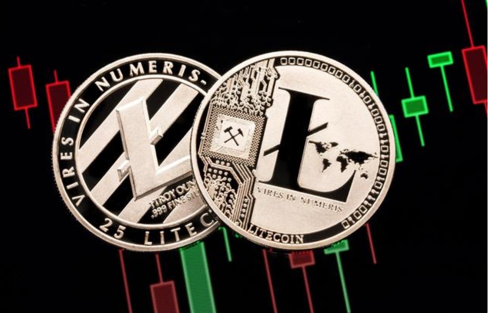 �D���R�؎��X��