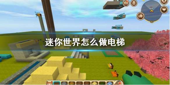 �D����������