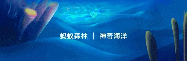 �D��֧����Λρɭ�����溣��2022��8��17�ս��������}Ŀ����