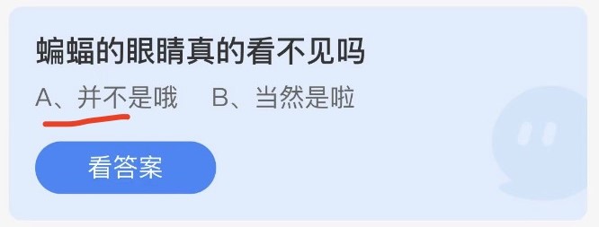 �D��8.22Λρ�f�@�������´�2022