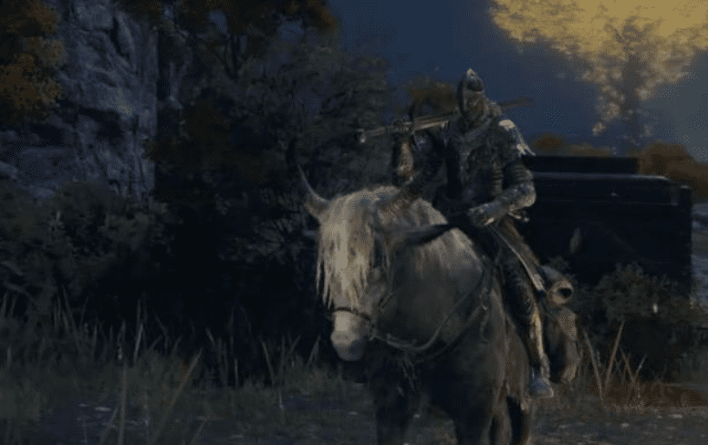 �D�������Ƿ��h�H�y�ن��R��������