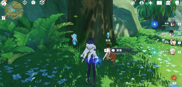 �D��ԭ��É����Ϣ�����΄�Ԕ�����̷���