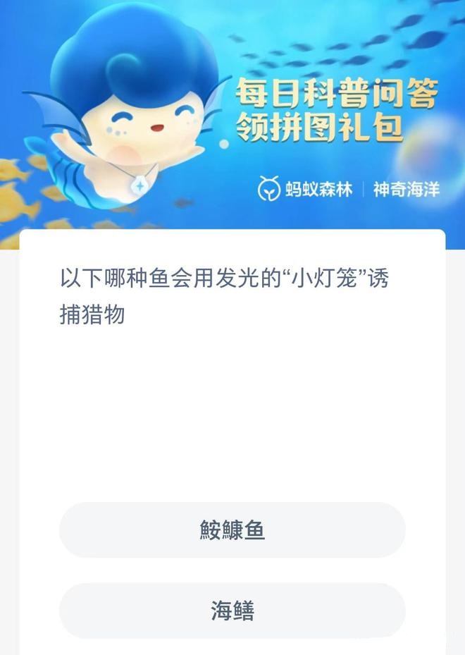 �D�����溣�����½��մ�8.26