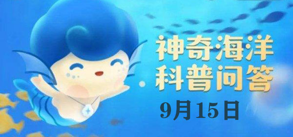 ���溣����մ�9.15����һ�£�����ؐ�&ldquo;����&rdquo;�ĵ���Դ��ʲô��