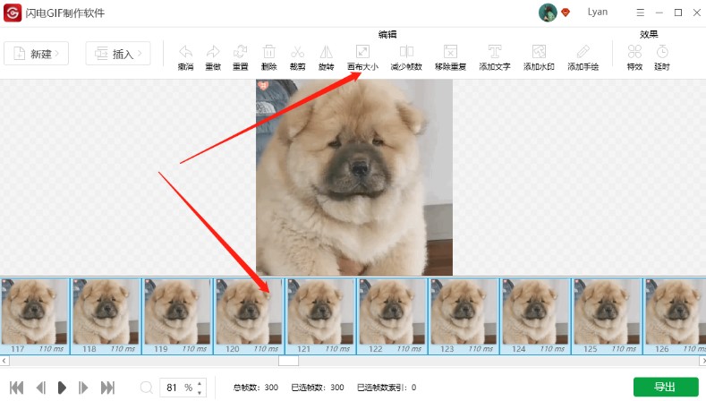 �D���W�GIF����