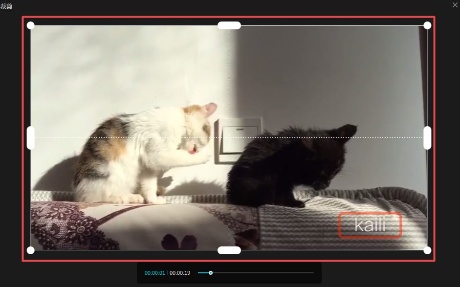 �D������ӳ����X�����ȥ��ˮӡ