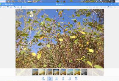 �D��2345���D���ܲ���ƴ�D