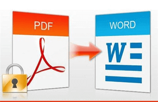 PDF�D(zhu��n)�Q��Word�D(zhu��n)�Q�����}